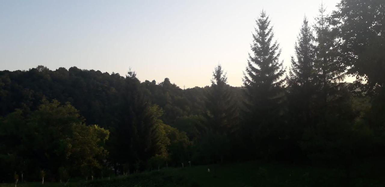 Apartament House Narta - Rastoke Slunj Zewnętrze zdjęcie